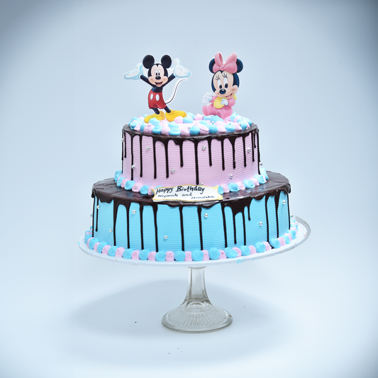 Vegan Mickey & Minnie Magic